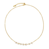 Spalva Gold Color