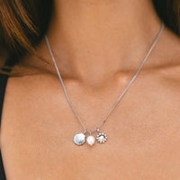 Spalva Silver Color