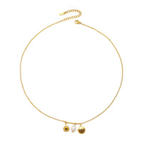 Spalva Gold Color