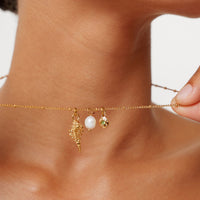 Spalva Gold color