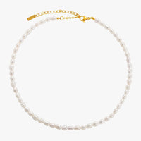 Spalva Gold Color