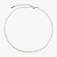 Spalva Silver Color